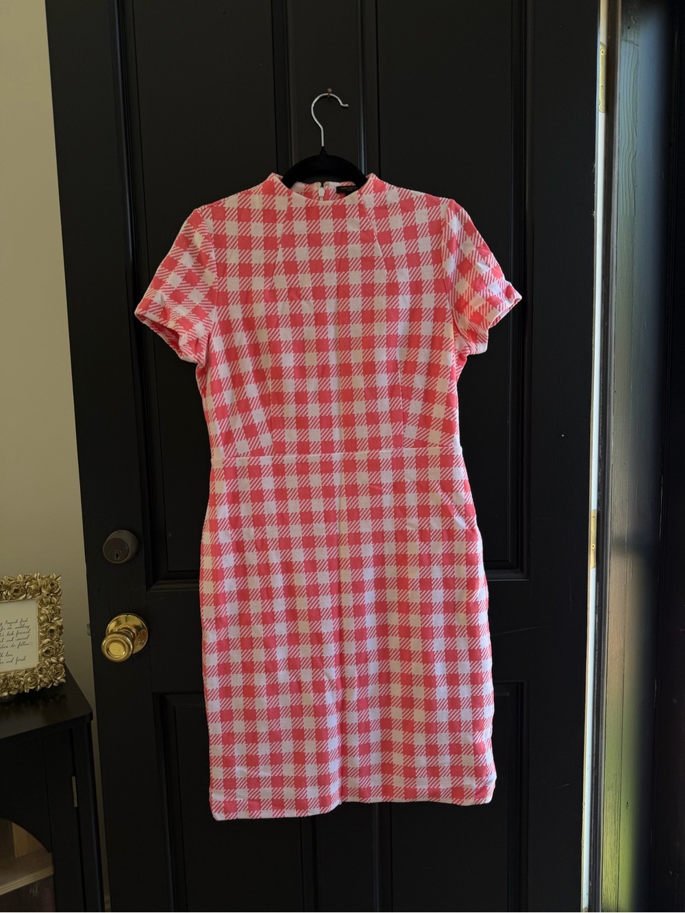Ann Taylor Pink and White Gingham Short Sleeve Shift Dress